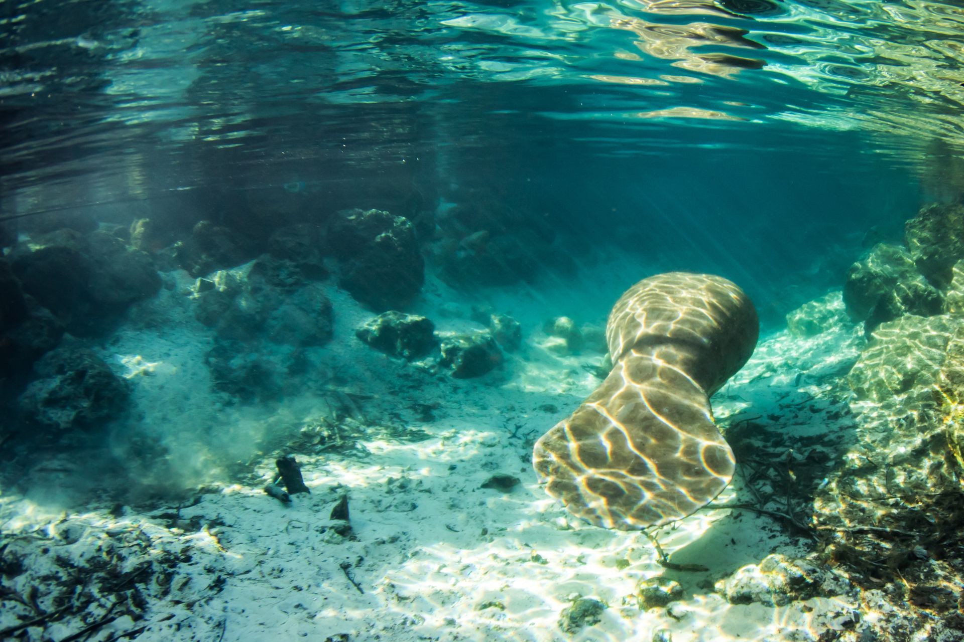 A coral reef is visible underwater in the ocean.