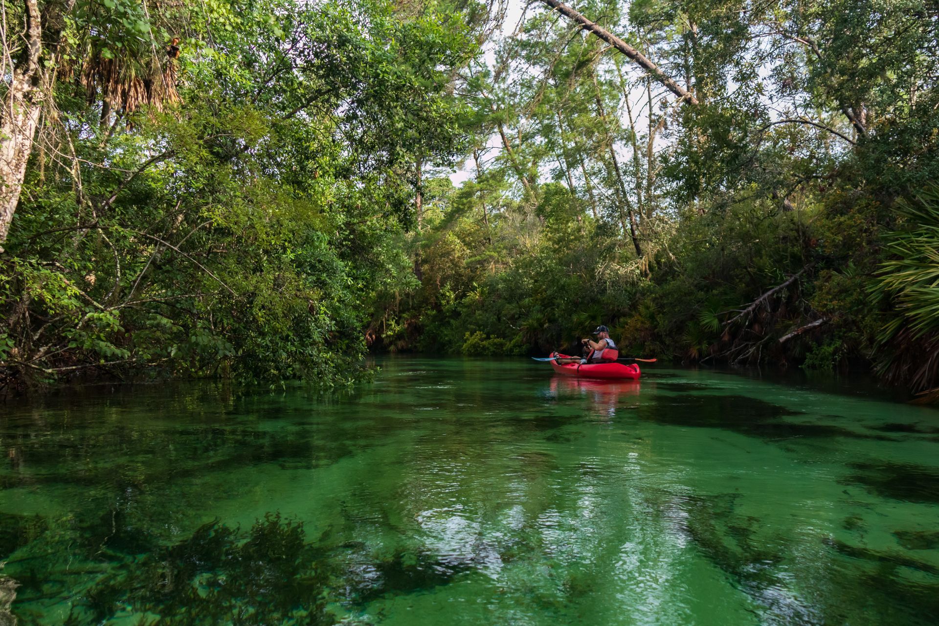 A person in a red kayak is paddling down a river surrounded by trees.
