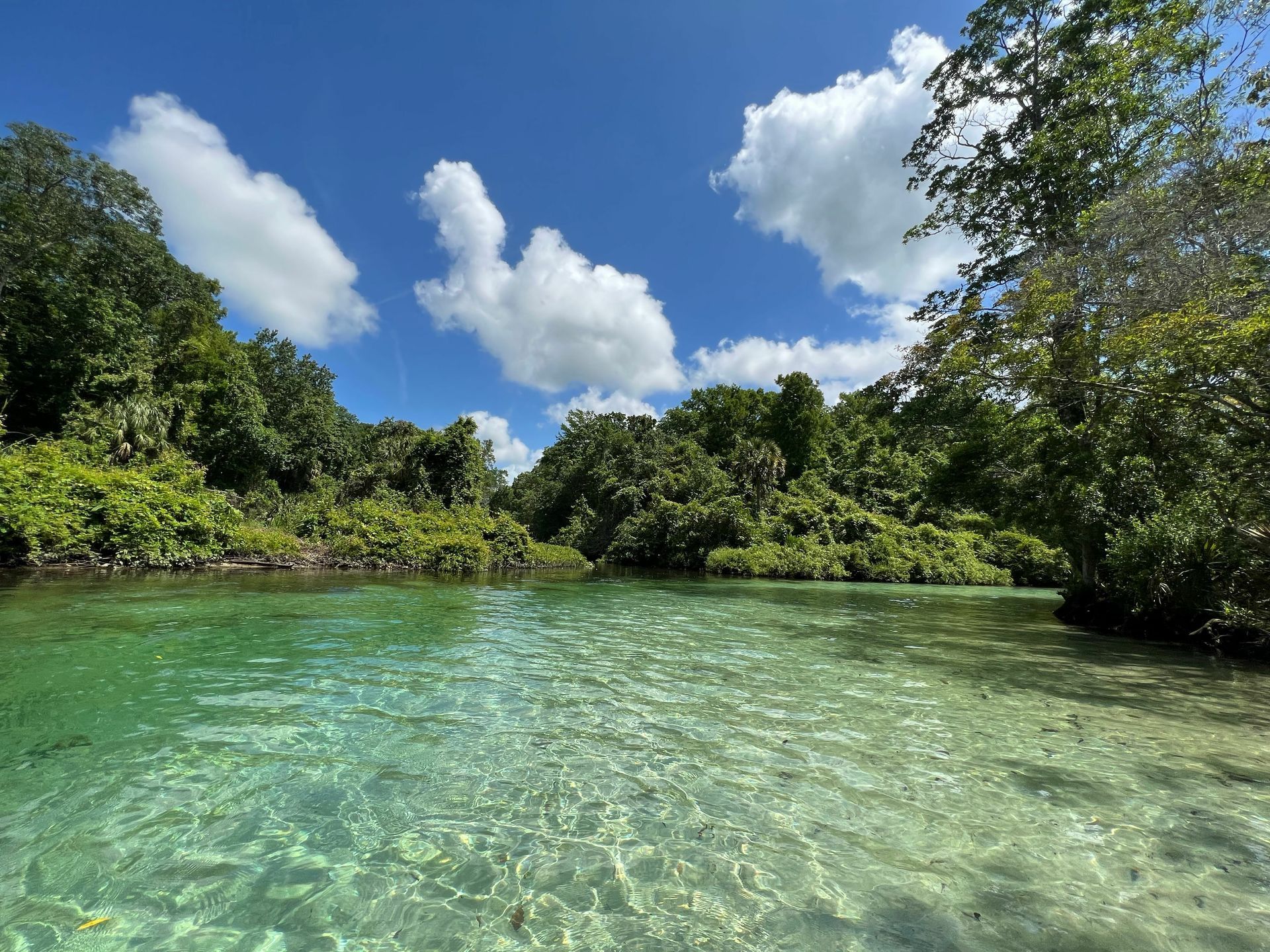 A river surrounded by trees and a blue sky with clouds