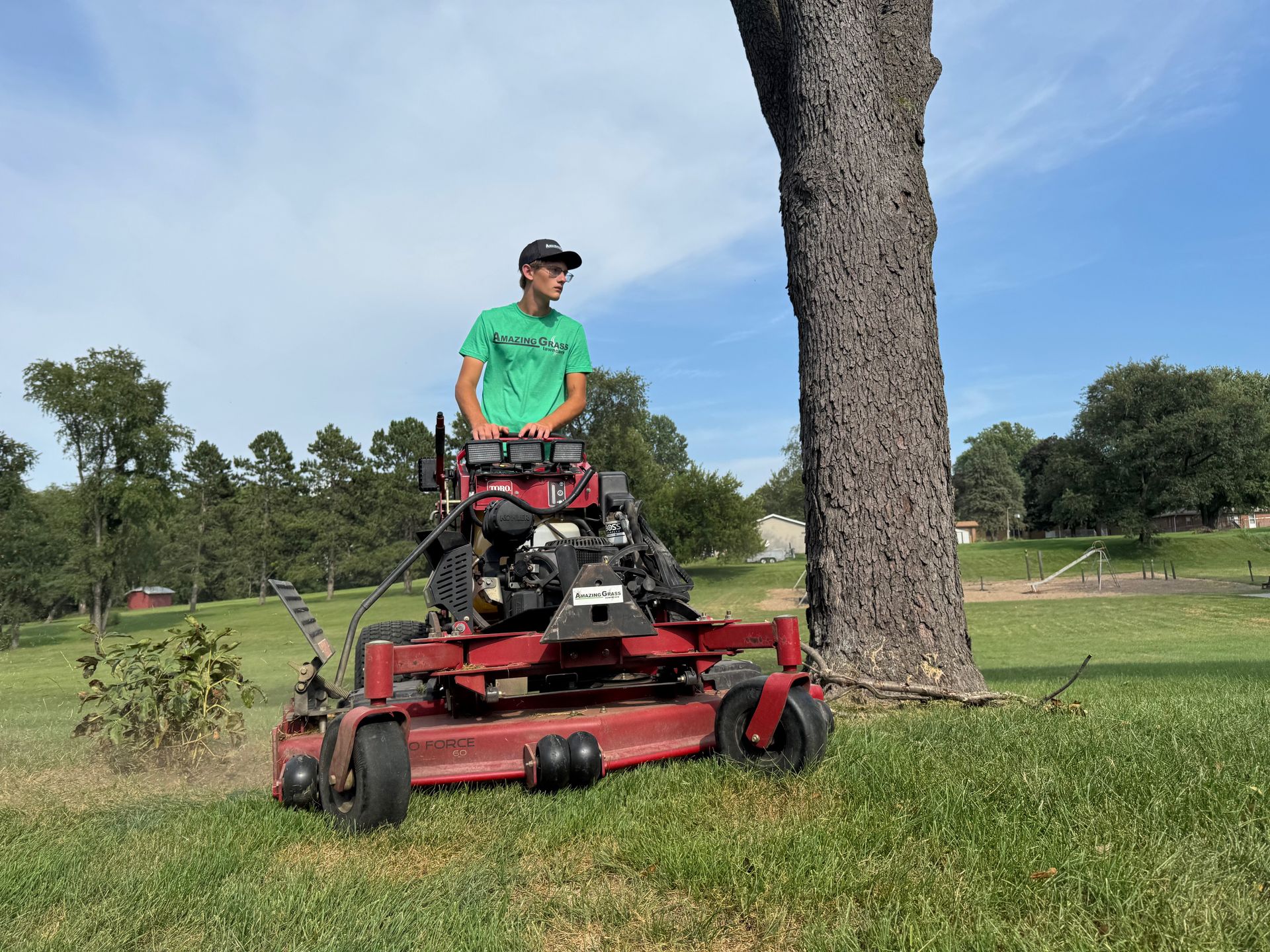 Man on a red riding mower trimming grass beside a large tree in a park.