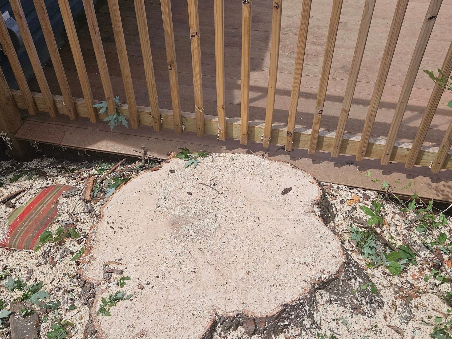 Large white mound on dirt beside a wooden fence, with scattered leaves and a striped mat nearby.