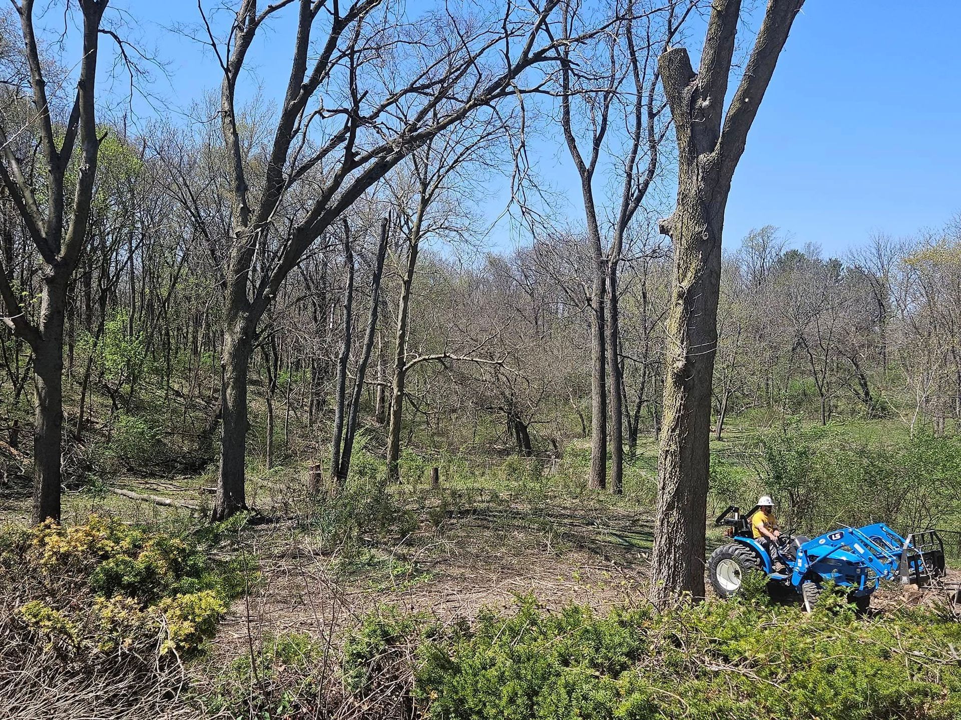 Person in yellow jacket beside blue ATV in a leafless wooded area on a sunny day