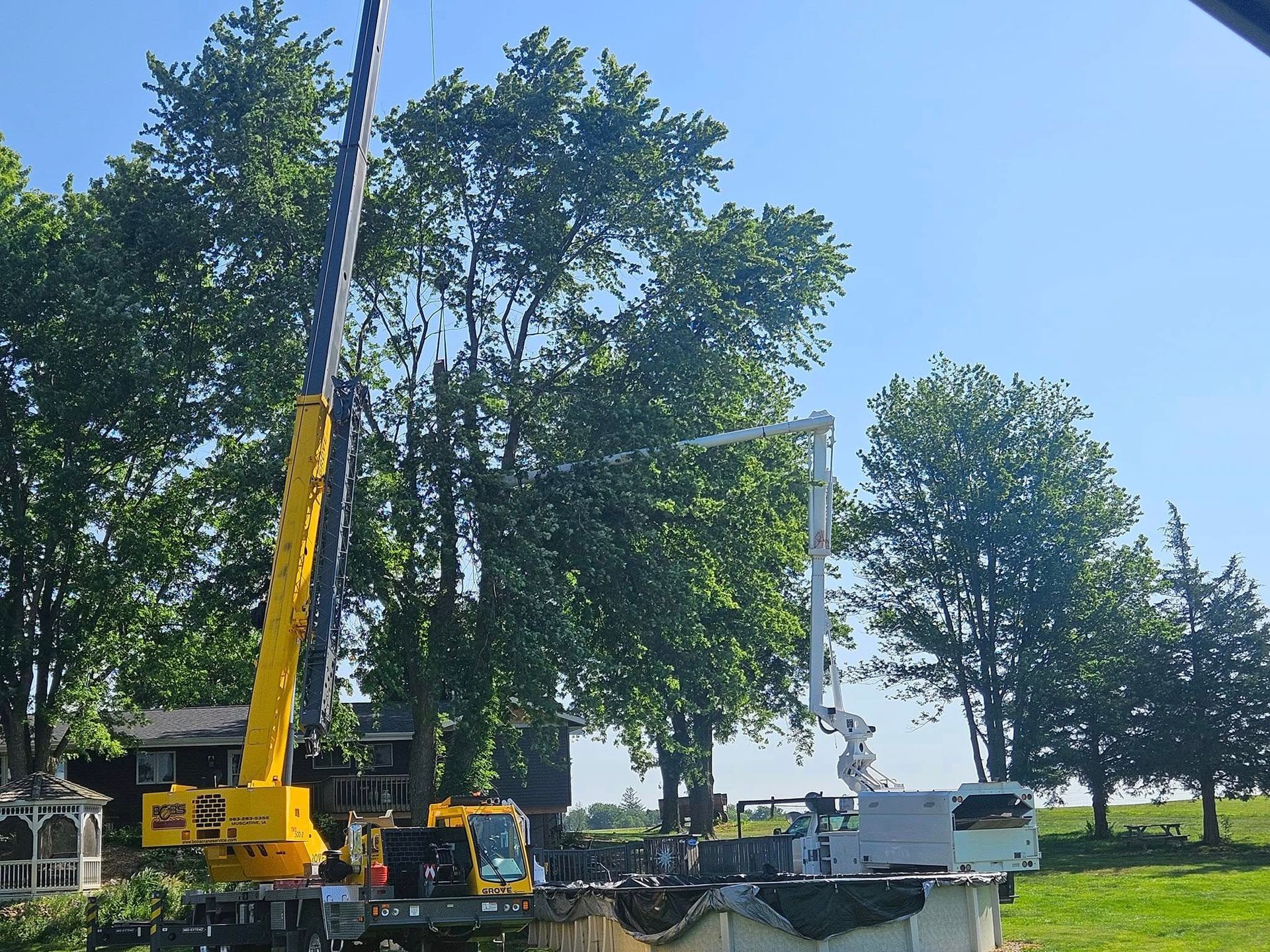 Yellow crane truck lifting a white boom lift beside tall trees on a sunny roadside