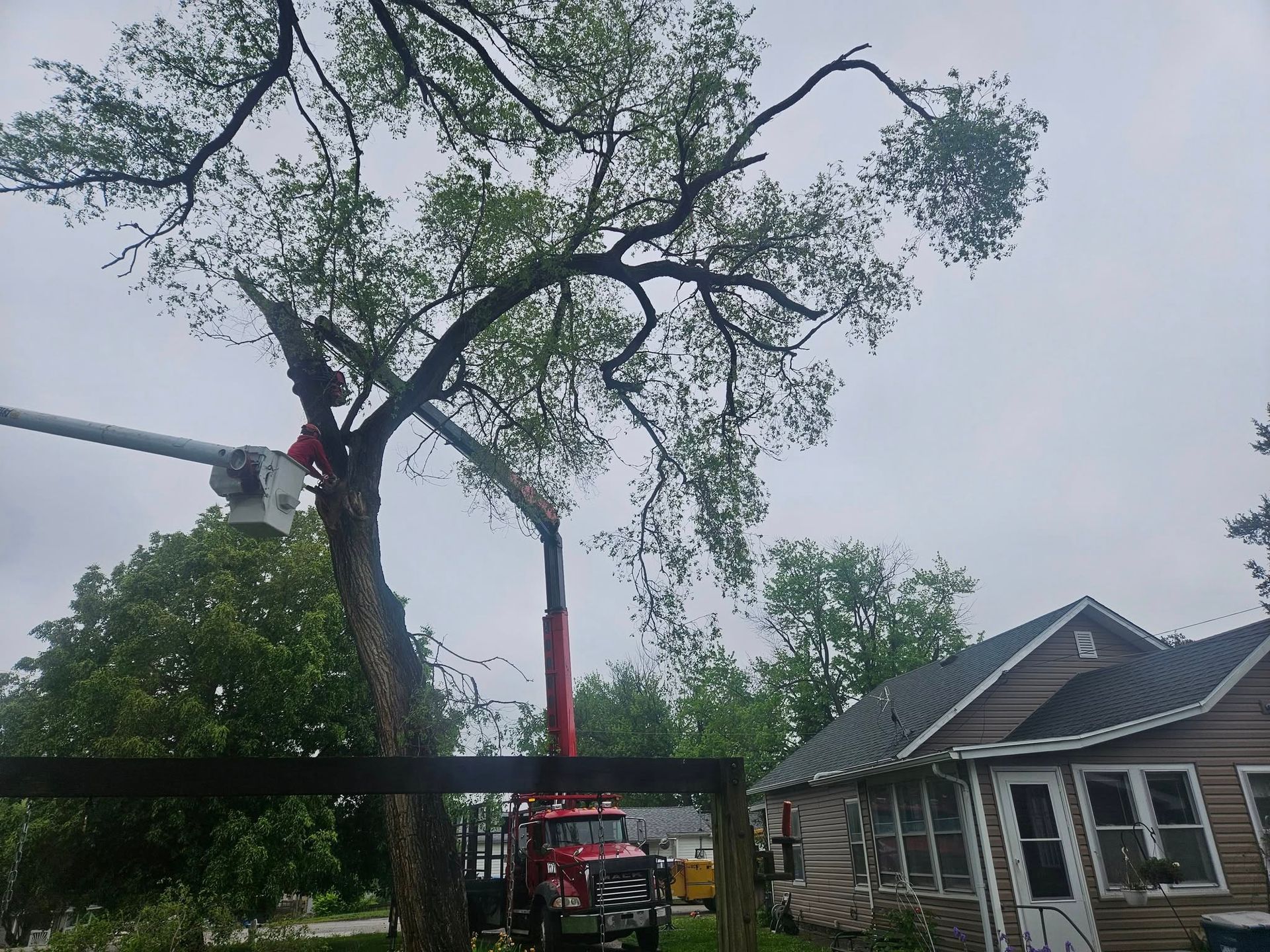 Tree being trimmed with a cherry picker beside a house on a cloudy day