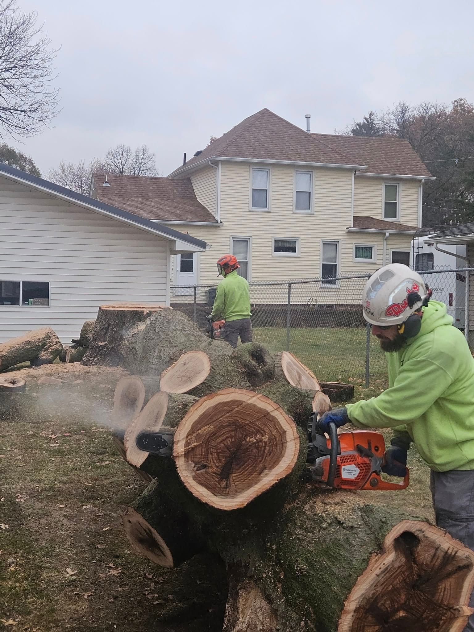 Worker cutting a large tree trunk with a chainsaw in a residential yard, wood chips flying.