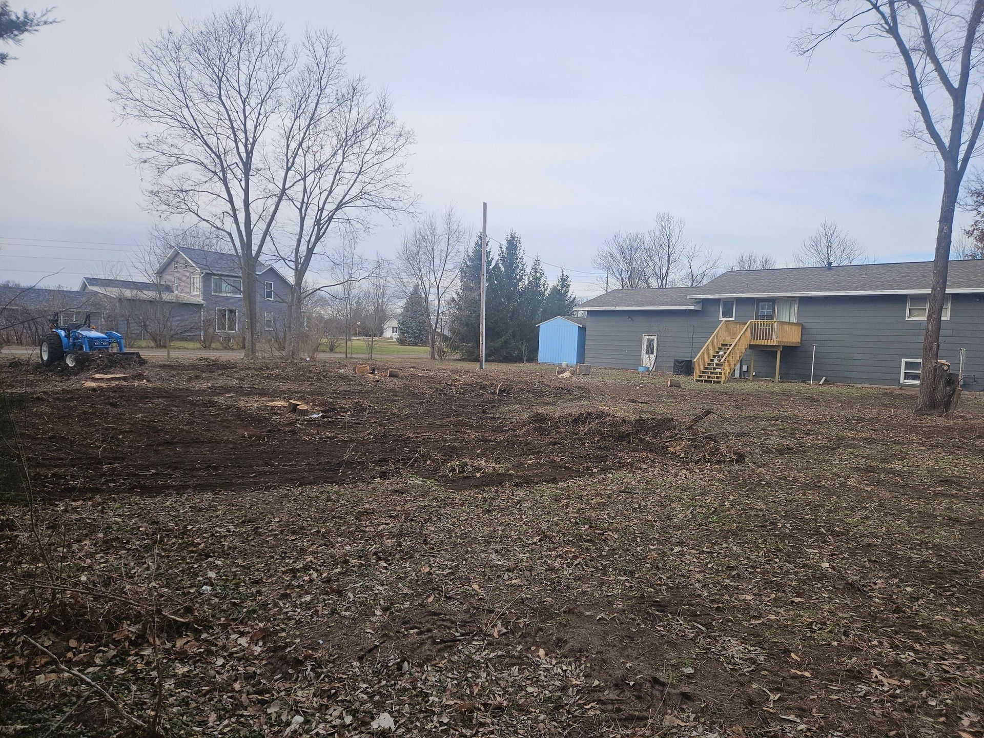 Leaf-covered yard with leaf piles, bare trees, and a gray house under an overcast sky