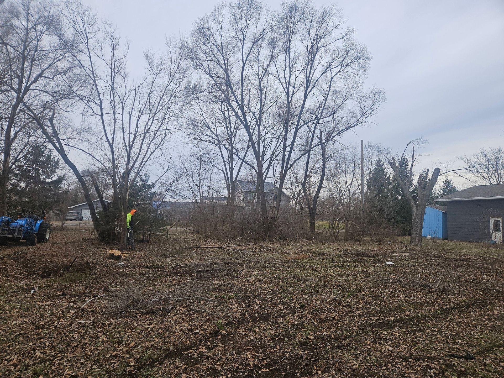 Leaf-covered yard with bare trees, a person in a yellow vest, and a blue shed under a gray sky