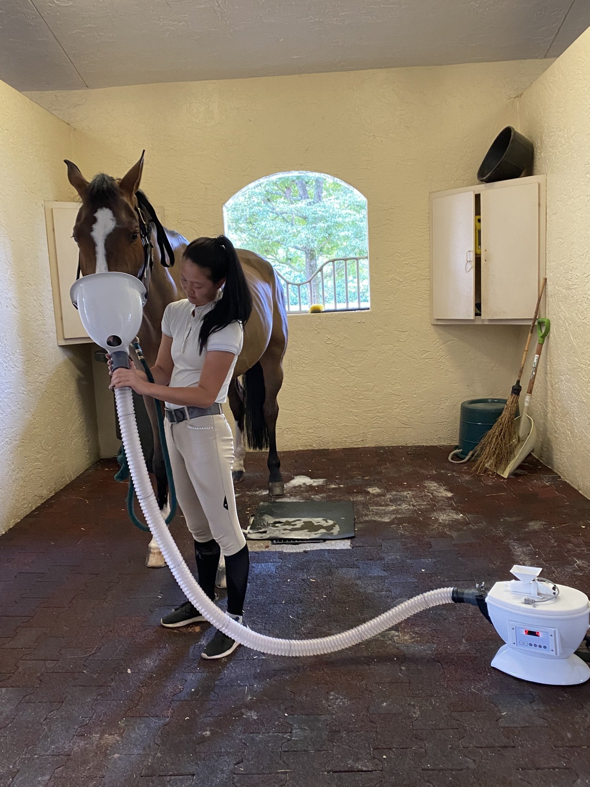 Equine Salt Therapies Service & Sales