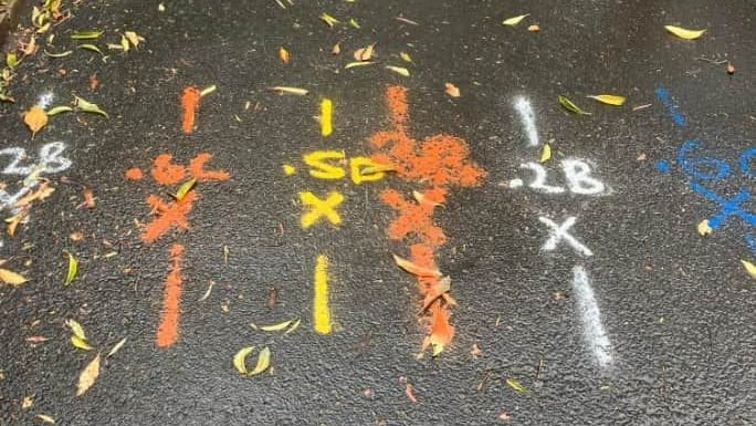 The Number 28 Is Painted On The Ground — East Coast Locating Services In Mid North Coast, NSW
