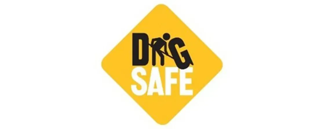 Dig