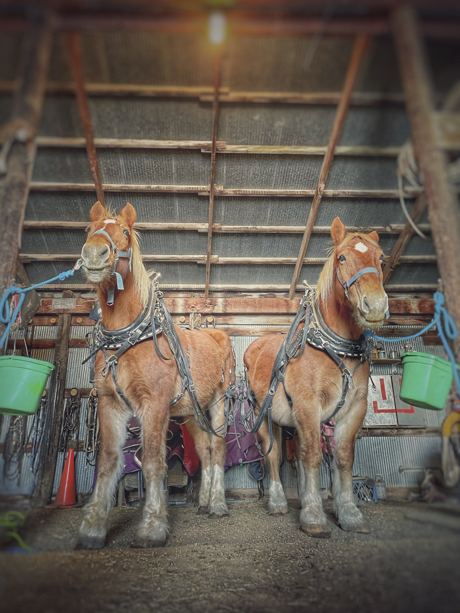 The Smilin' Ranch