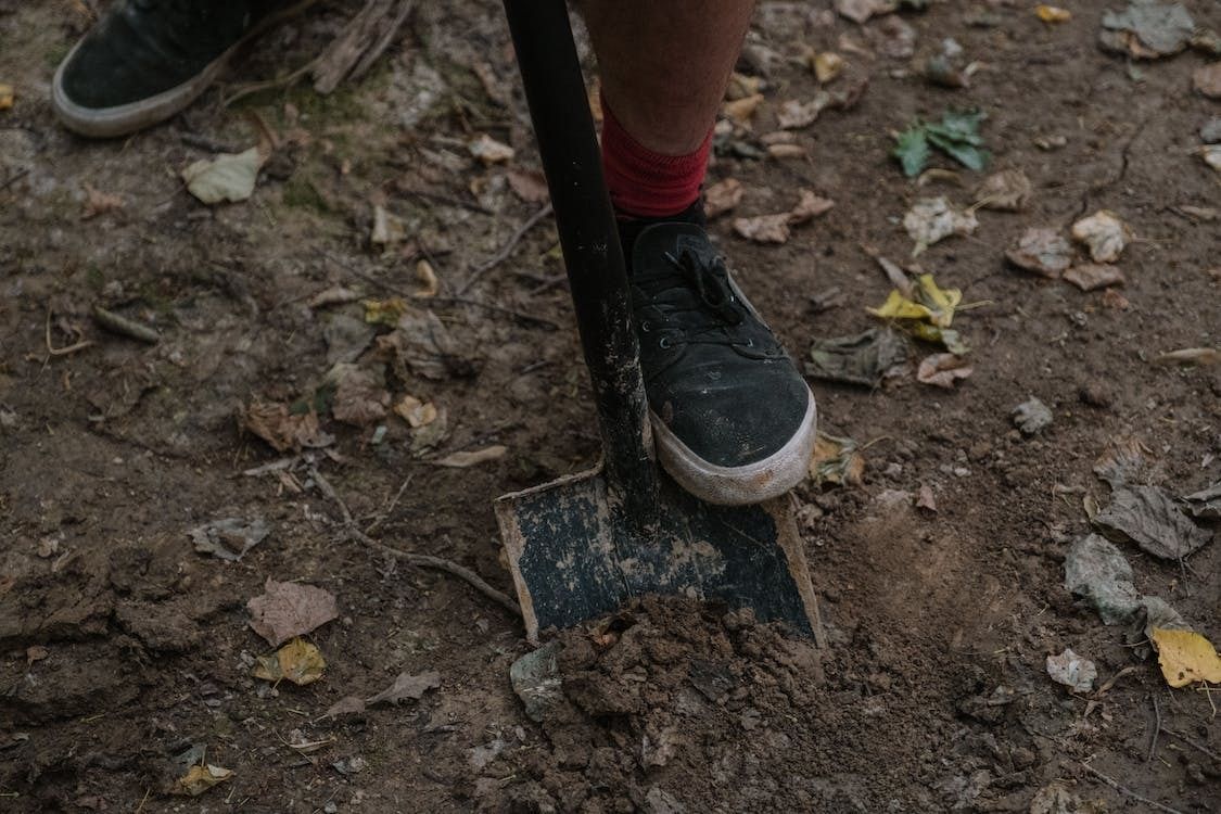 OBP - The Dig