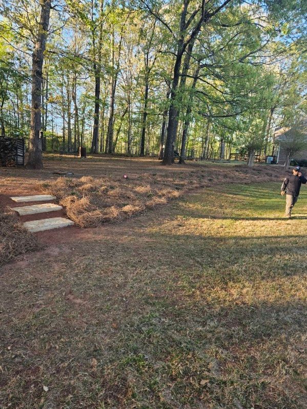 A man is standing in a yard with trees in the background.