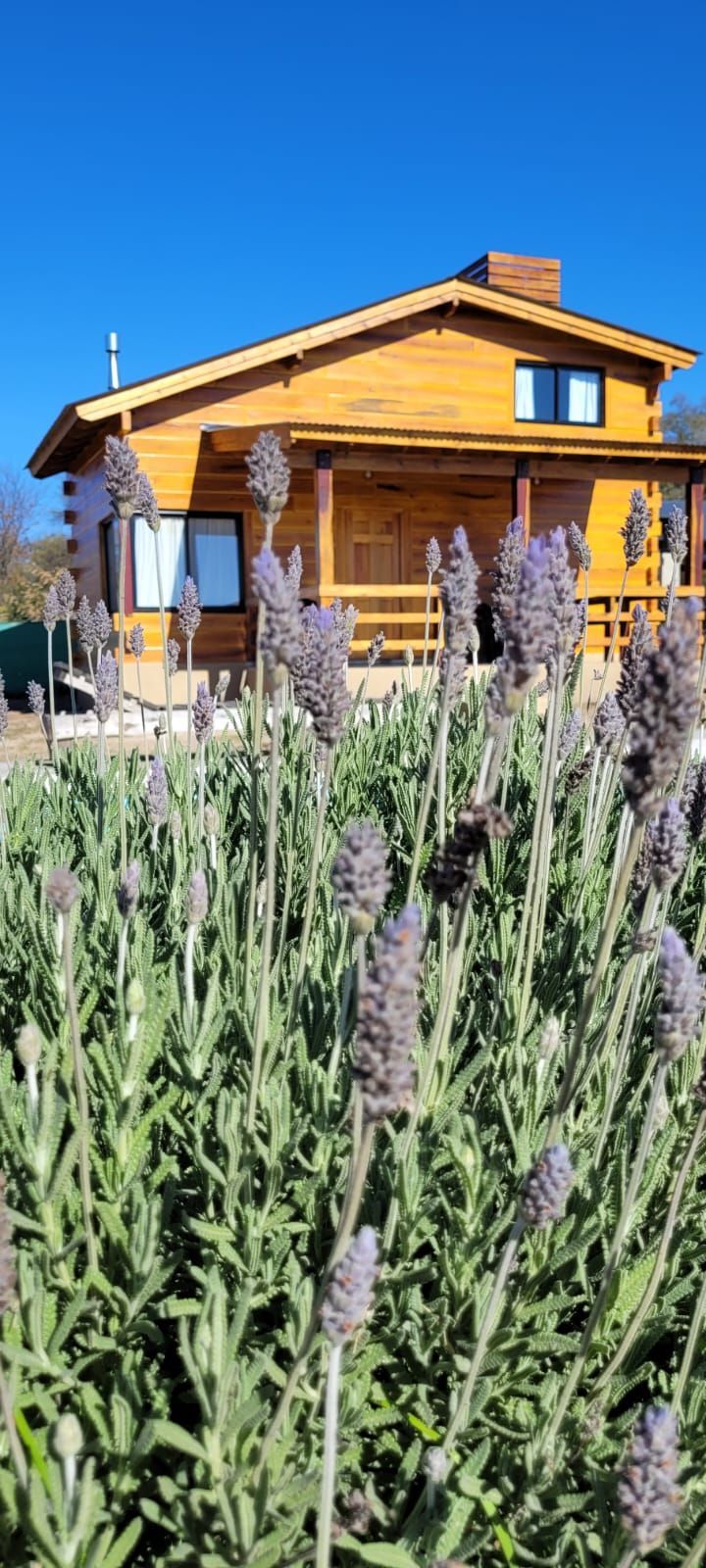 Una casa de madera con porche y chimenea se encuentra en un campo de lavanda bajo un cielo azul. Cabaña Los Ciruelos