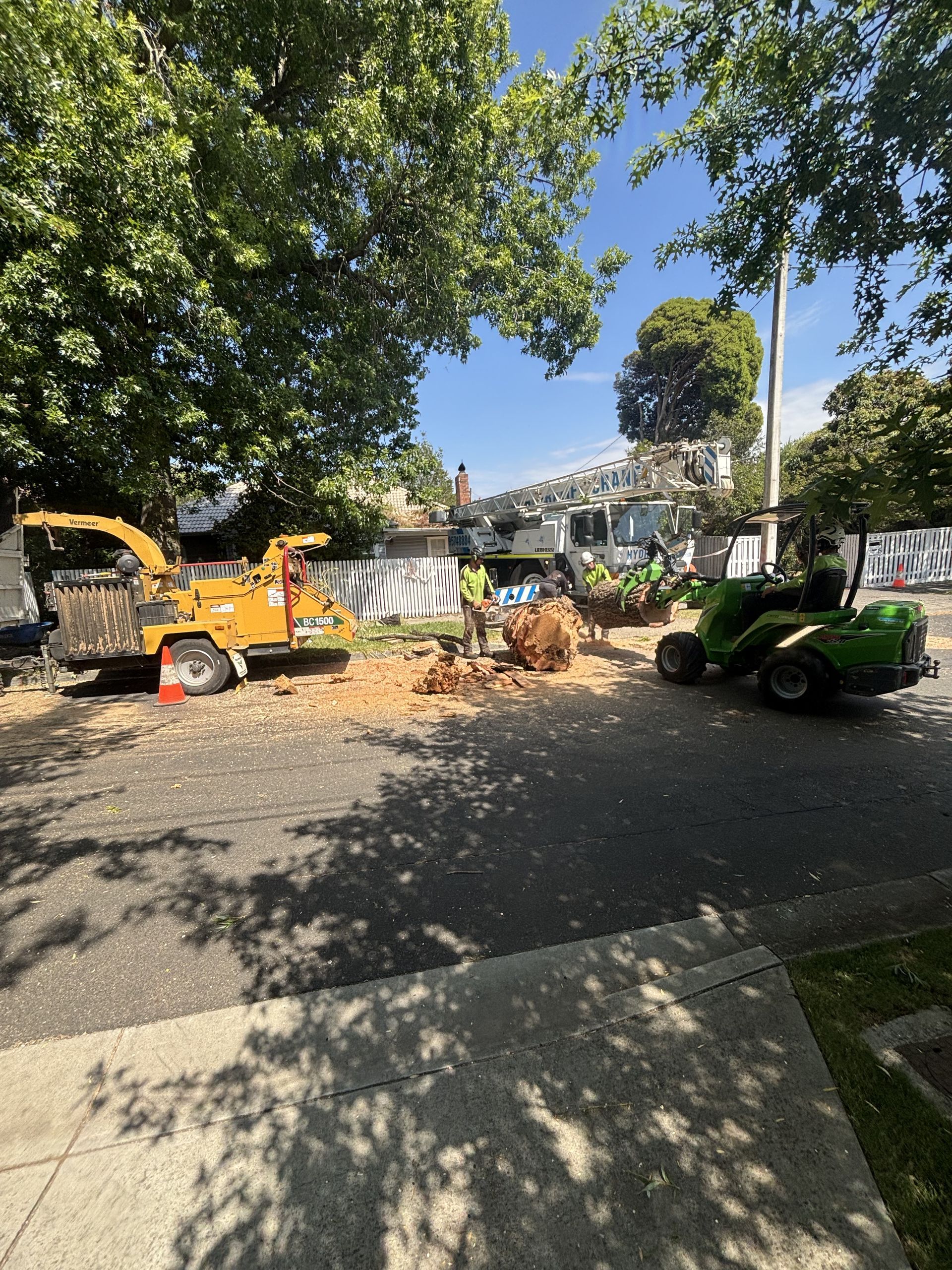 Construction equipment and debris on a tree-lined street beside a sidewalk in bright daylight