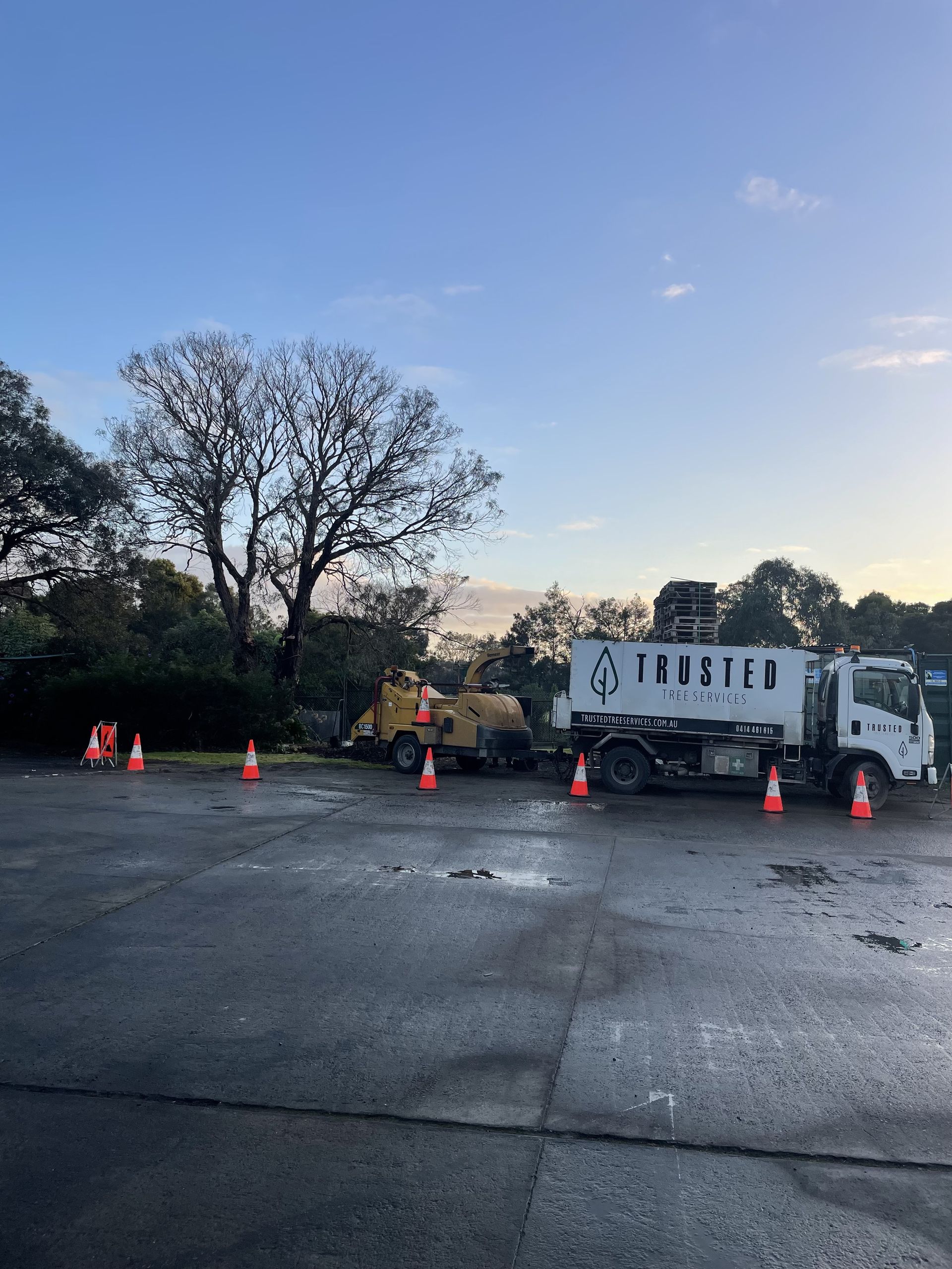 Utility truck and orange cones on a wet roadside at dawn, with trees and a clear sky.