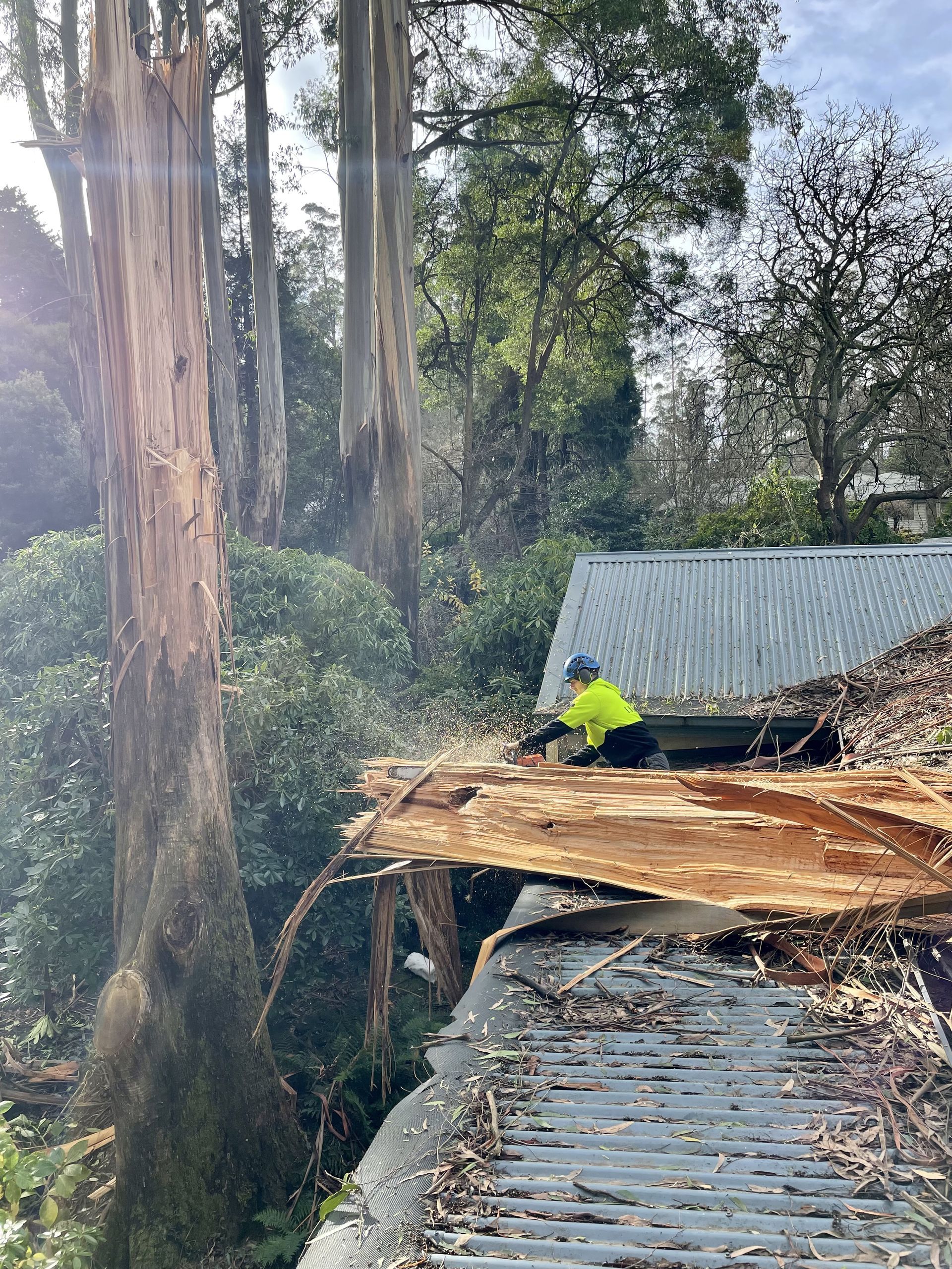 Worker in neon jacket clearing storm-damaged tree debris from a corrugated metal roof in a wooded area