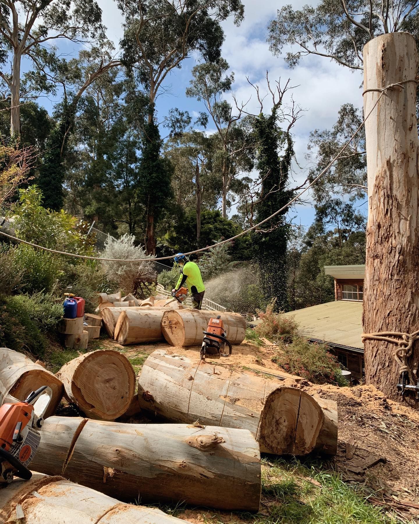 Worker in neon shirt cutting logs in a wooded yard with a chainsaw and stacked timber.