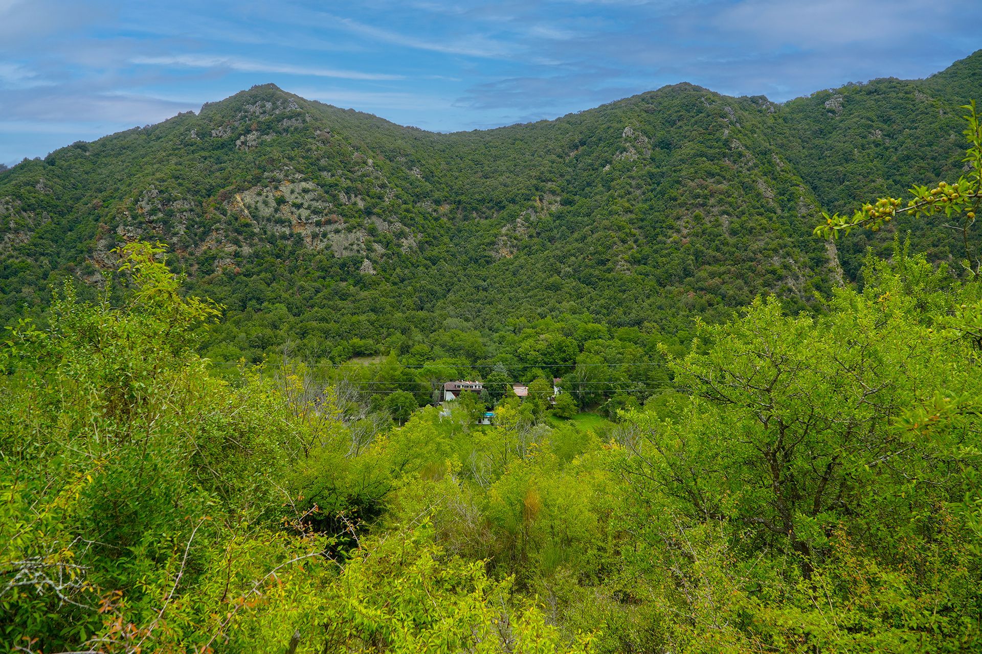 vista dal locale