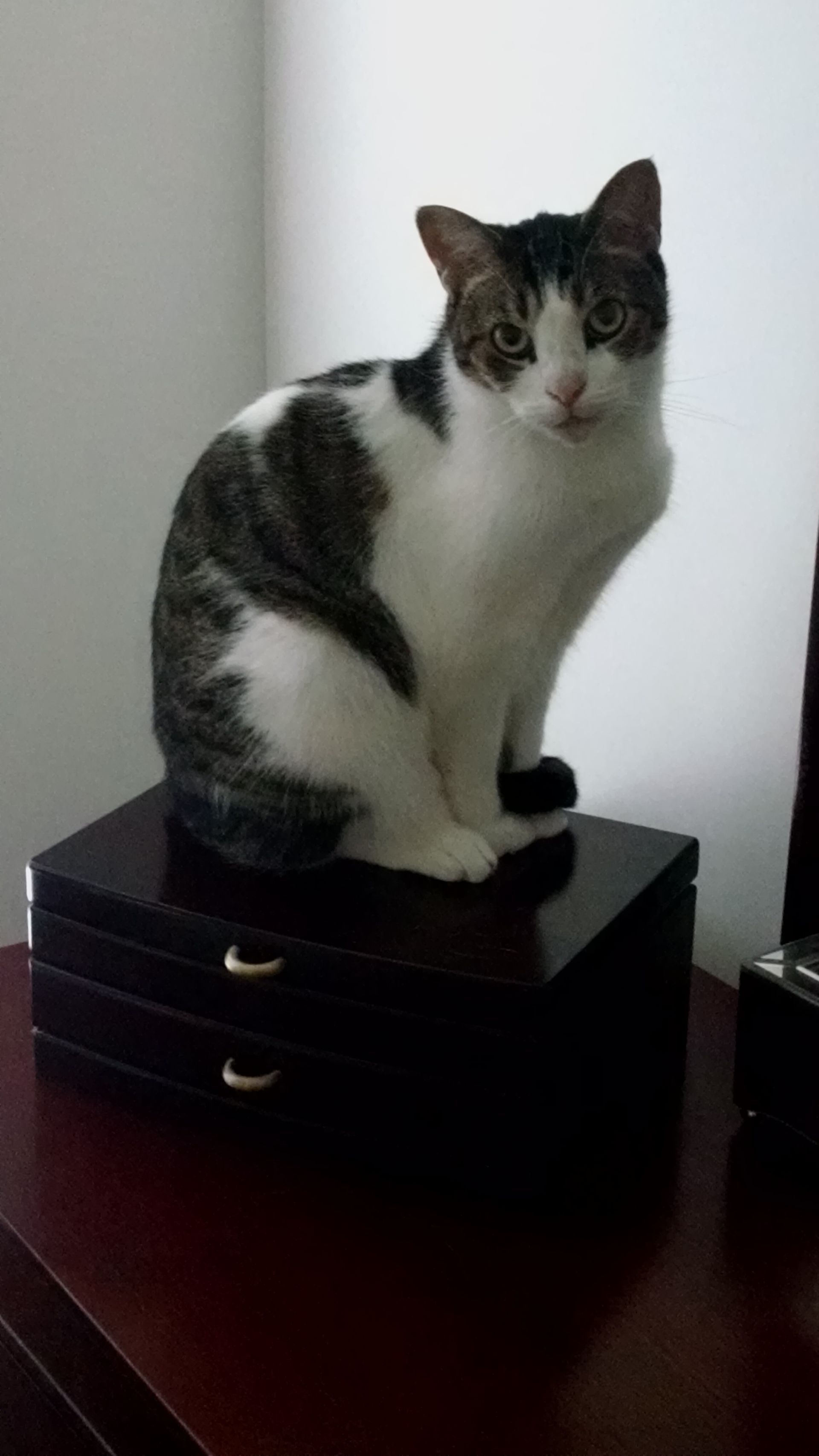 TNR