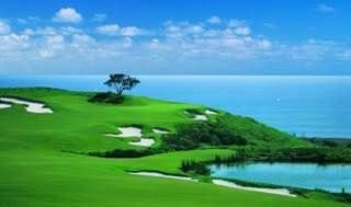 A golf course with a tree in the middle of it and a lake in the background.