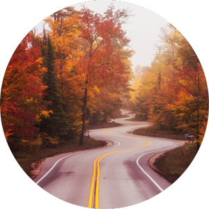 Life Journey