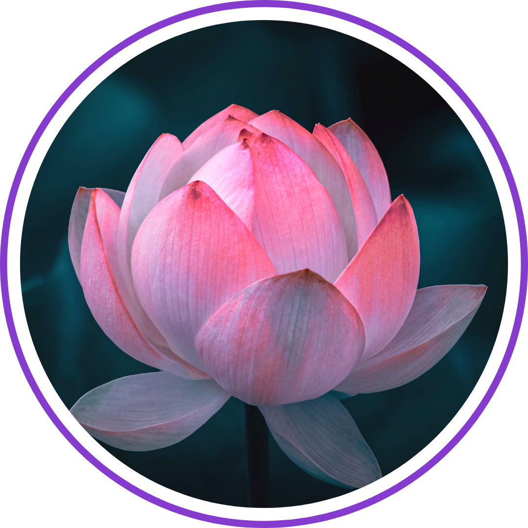 New Beginnings, Lotus Blooming