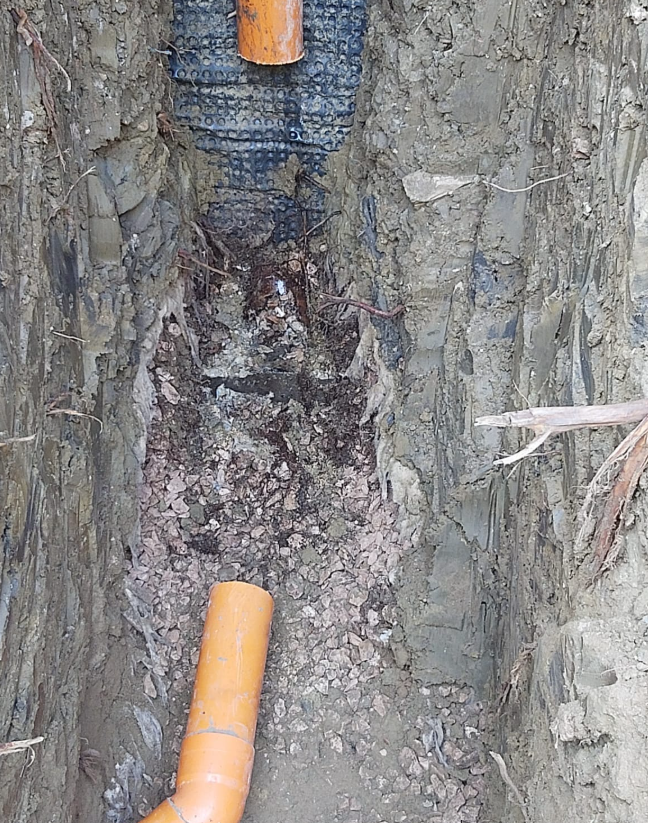 Tronco d'albero danneggiato con cavità cava esposta e sezioni di tubo arancione nella parte superiore e inferiore.
