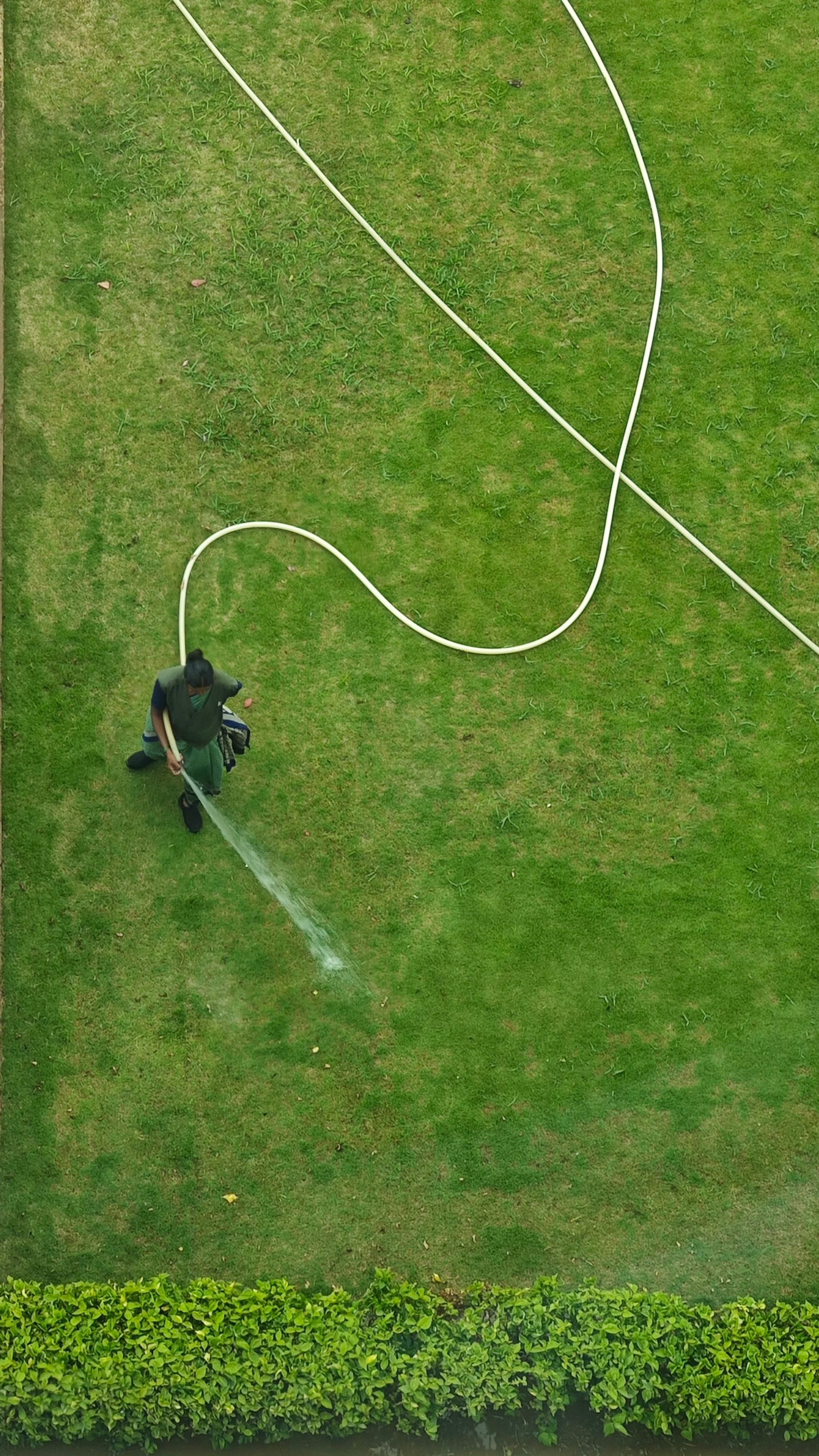 Lawn sprinkler spraying water on green grass, with hose looping across the yard.