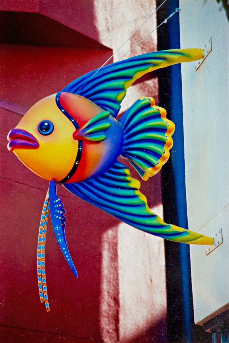 Colorful fish-shaped decorative sculpture with bright yellow, blue, and purple fins against a red wall