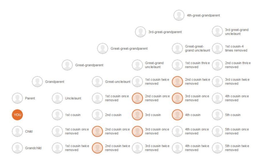 Kleine, wazige infographic met veel gelabelde, cirkelvormige pictogrammen die in een vertakkend diagram met elkaar verbonden zijn.