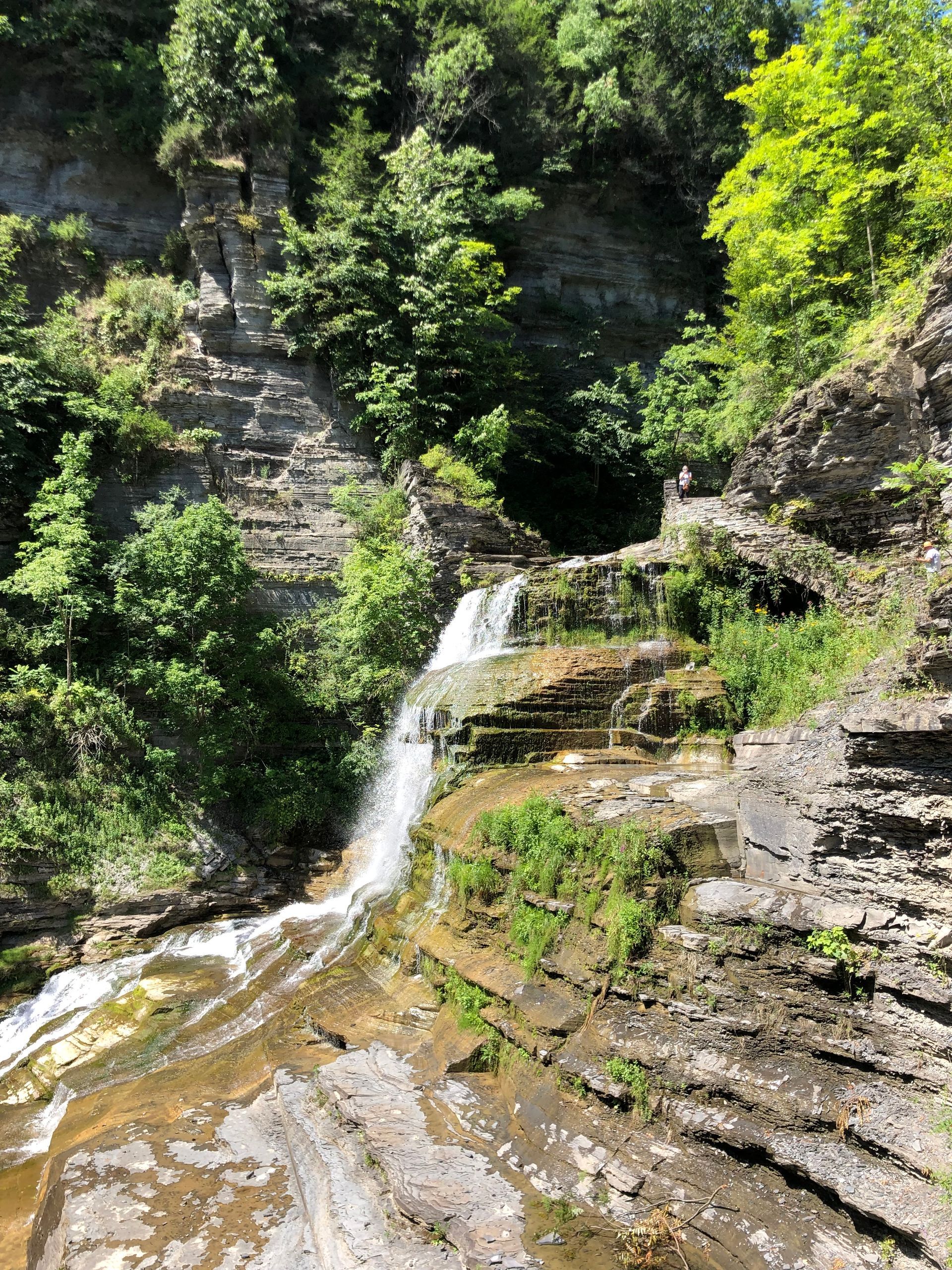 Een kleine waterval die langs een rotswand naar beneden stort, omgeven door groen gebladerte.