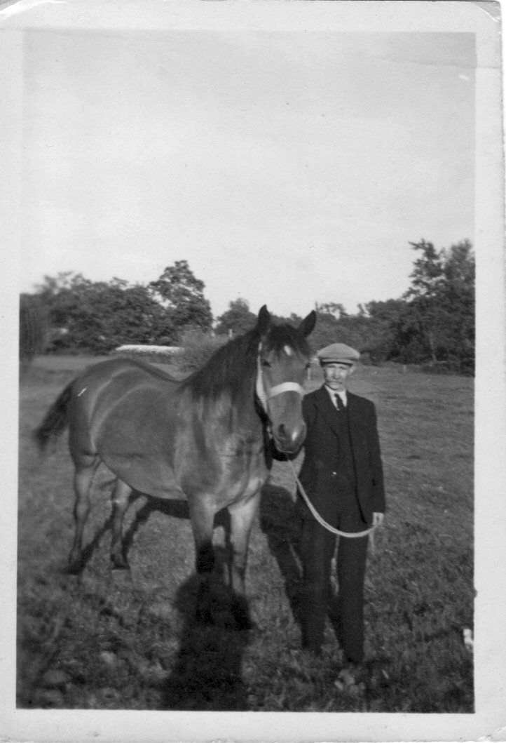 Persoon staat naast een paard in een grasveld.