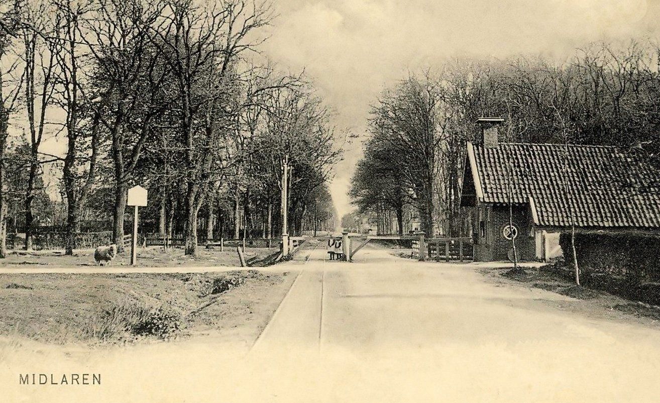 Een vintage sepia straatbeeld met bomen, huizen en een weg die zich in de verte uitstrekt.