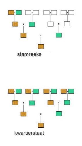 Twee kleine boomdiagrammen die de lay-out van een sternetwerk en een busnetwerk vergelijken, met gekleurde vierkanten en verbindingslijnen.