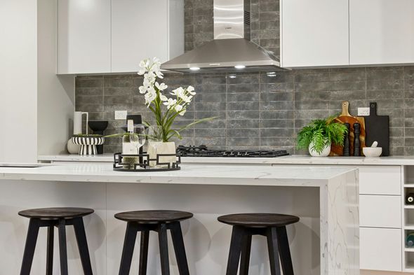 Clean kitchen with plant