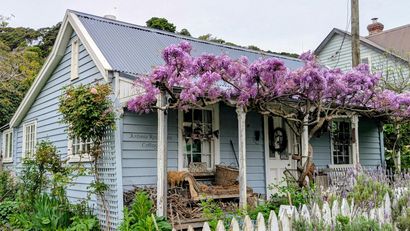Cottage with wisteria