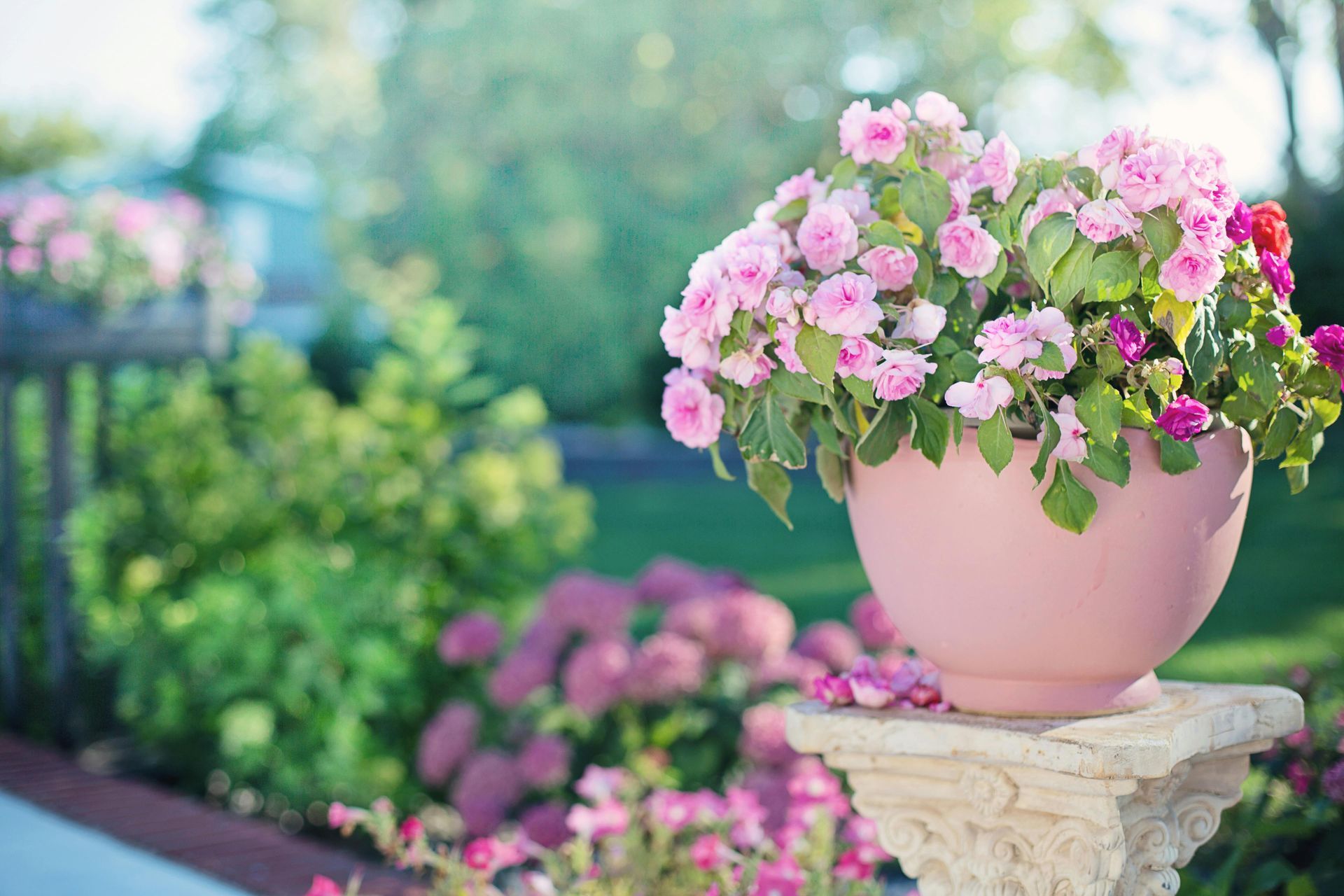 Pretty pink pot with flowers