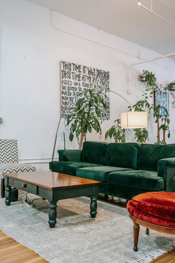 Living room with plants