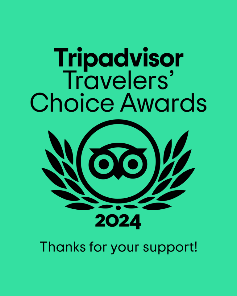 Tripadvisor Travelers' Choice Award 2024 badge on teal background.
