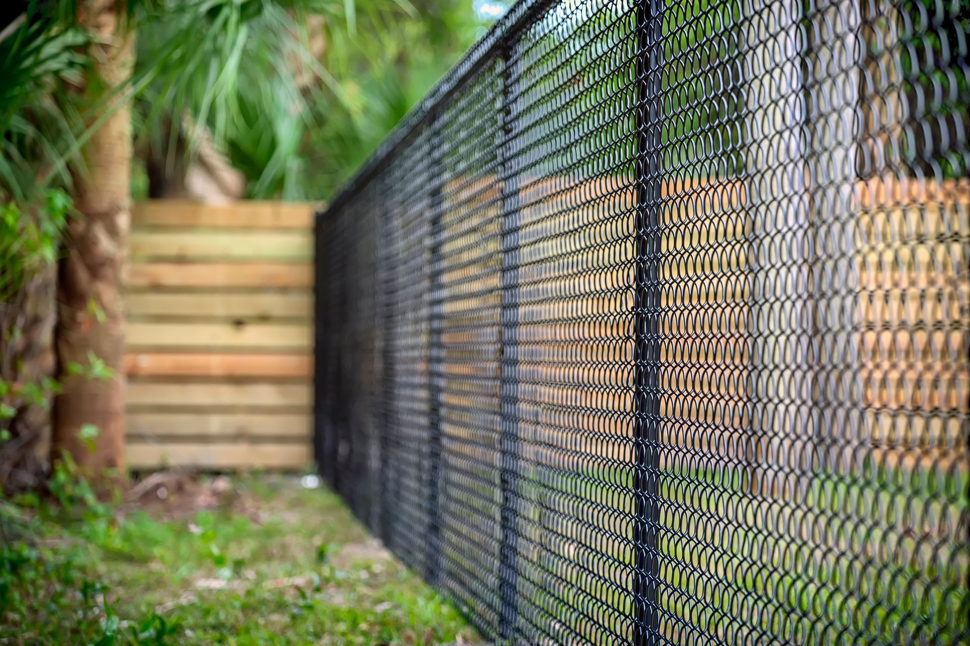 Black chain-link fence along a grassy path beside a wooden fence and greenery