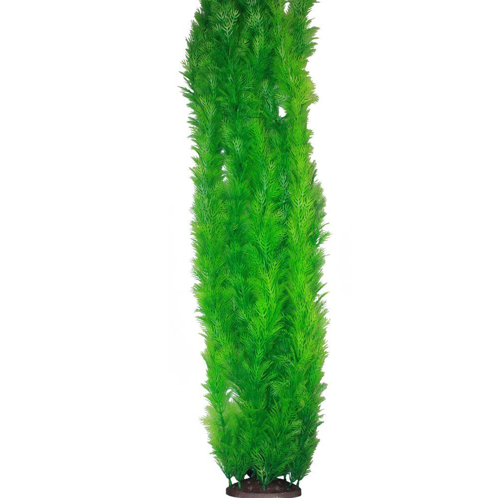 XLPlasticCabomba
