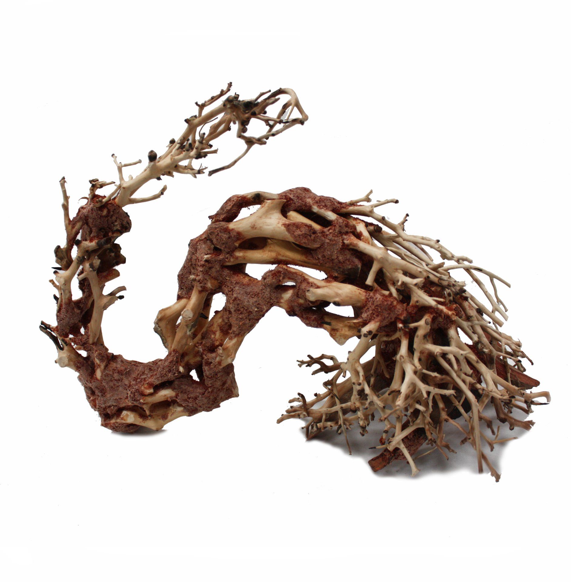 DragonWood