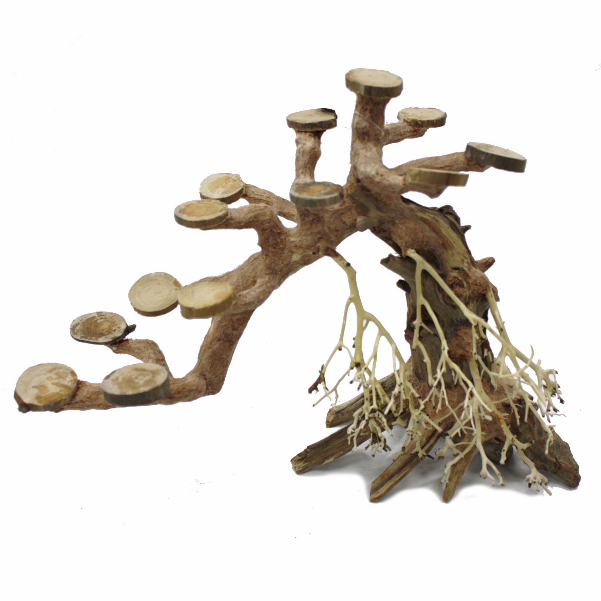 OctopusWood