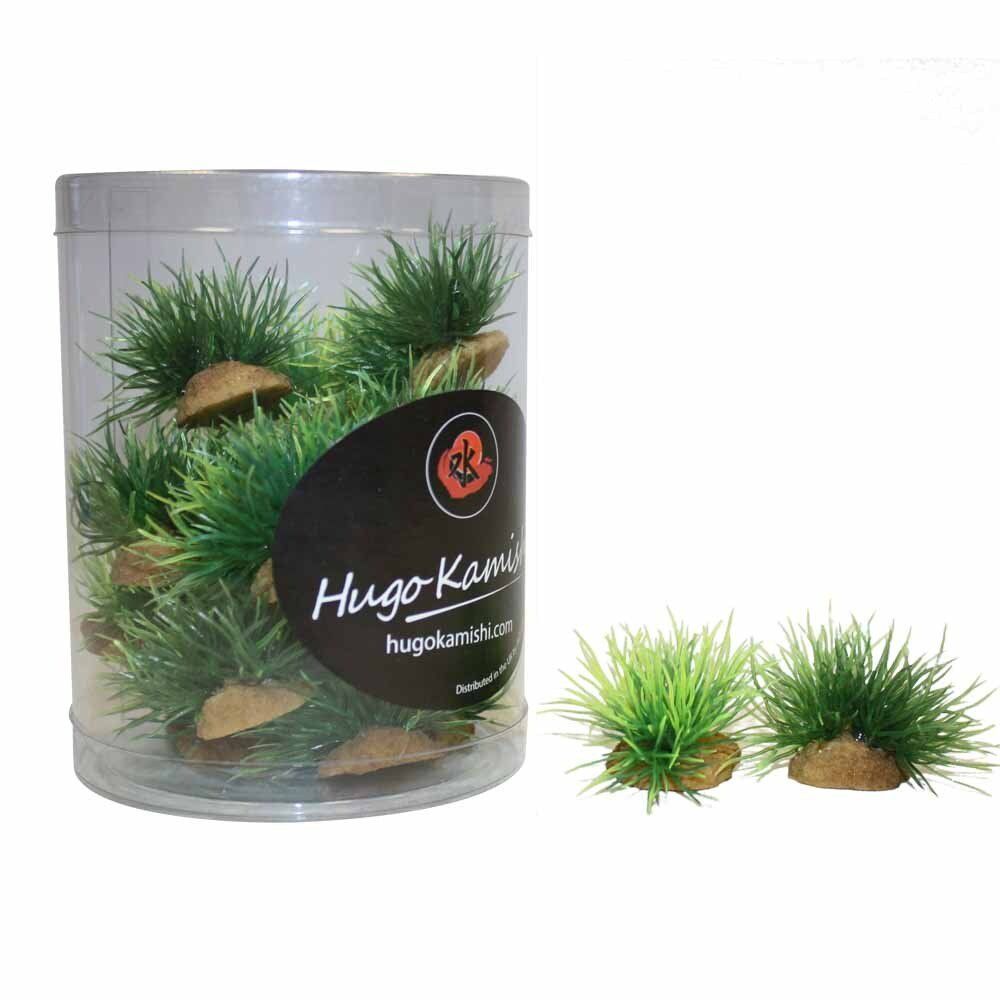 Foregroundplant1