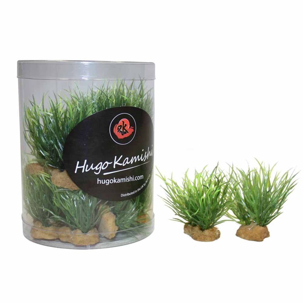 Foregroundplant3