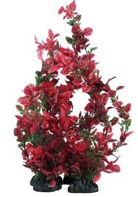 RoseLeafRedGreen