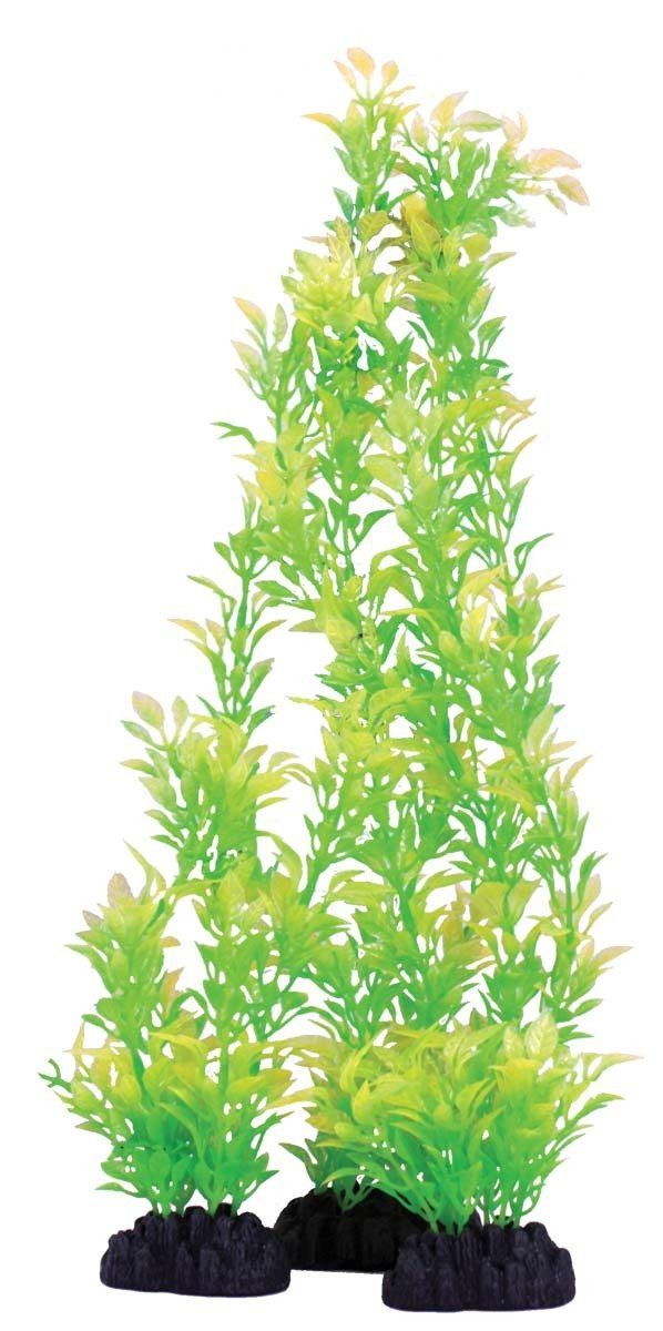 RoseLeafGreen