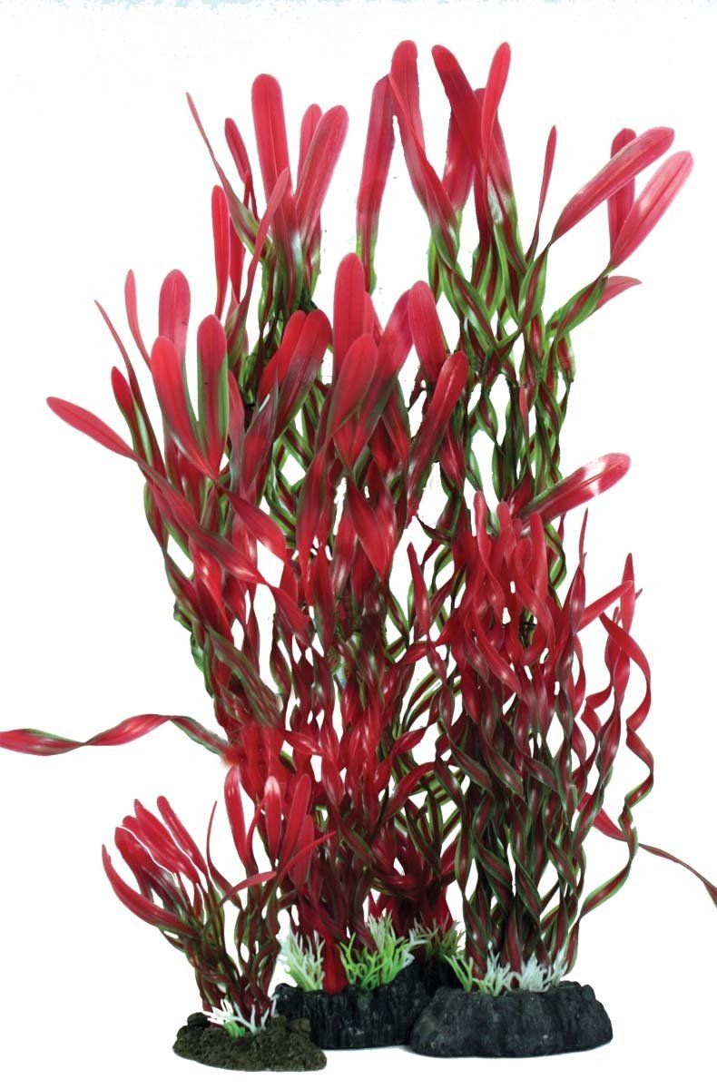 Corkscrew RedGreen
