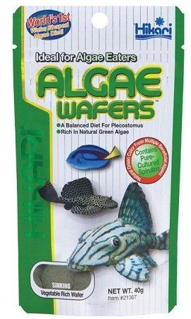 Hikari Algae Wafers